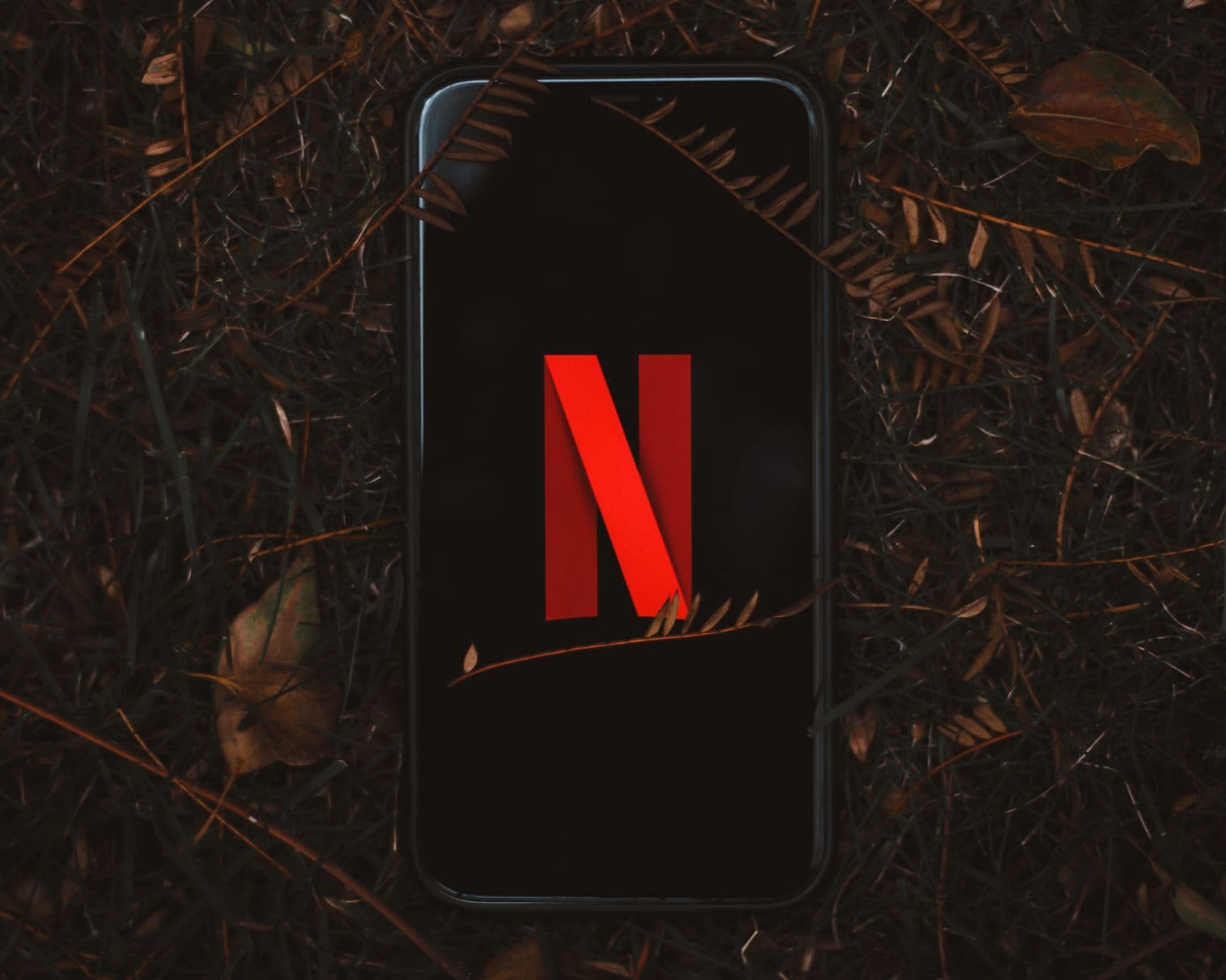 Netflix hikes Brazil subscription prices up to 24% to lift margins